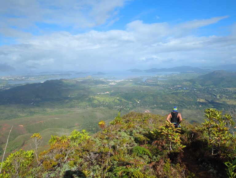 DMBA Trail
